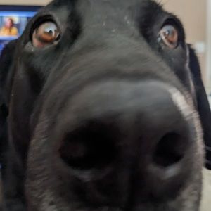 Meet your Posher, Mark